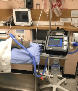 Screen Shot 2020-08-19 at 9.49.51 AM