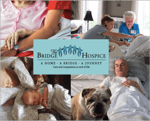 Screen Shot 2020-08-19 at 9.54.33 AM